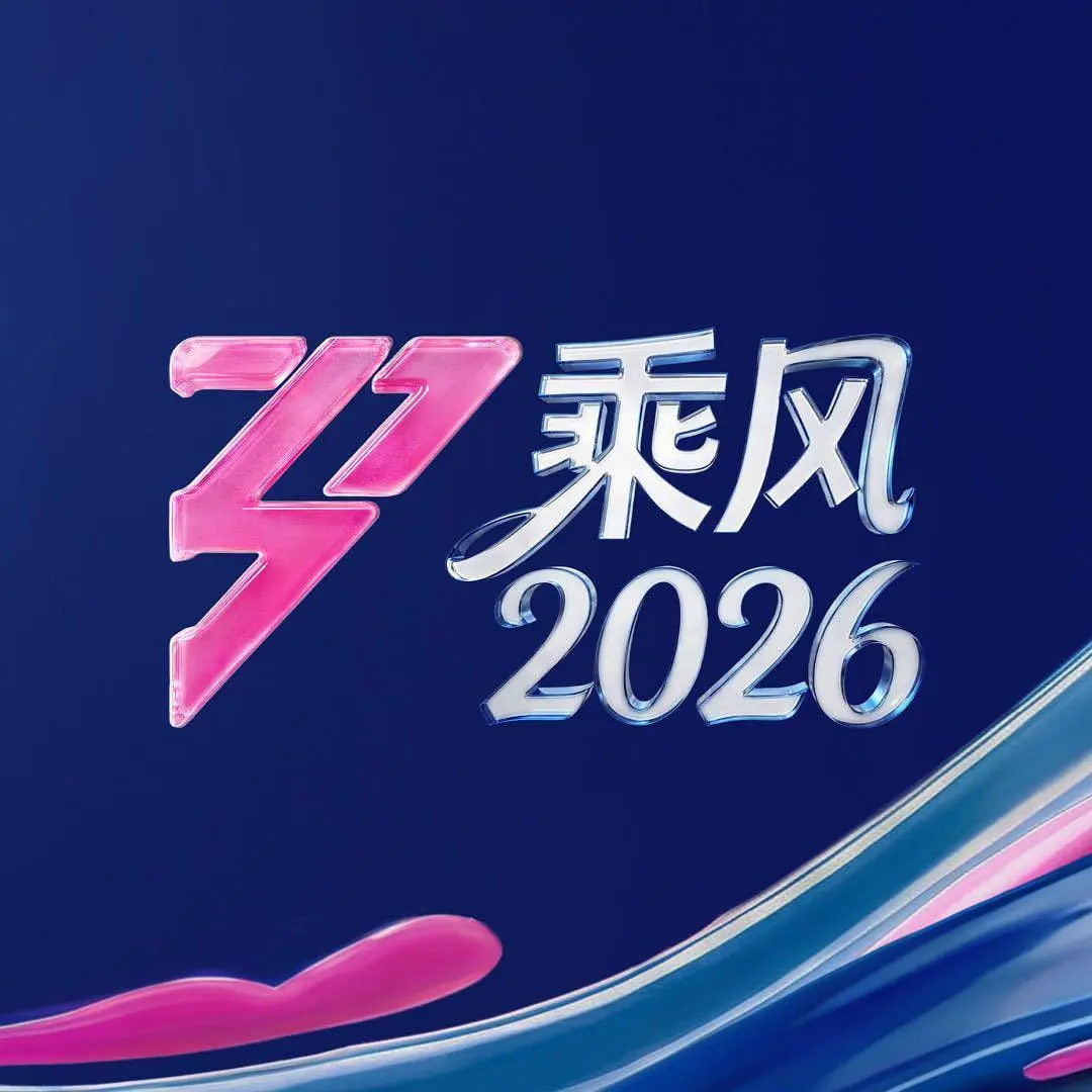 乘风2026——电视剧代号十三钗