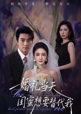 婚礼当天，闺蜜想要替代我——杰森斯坦森
